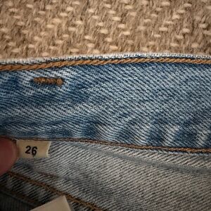 Citizens Of Humanity Light Blue Denim